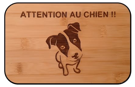 N° 10 Jack Russel